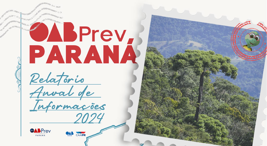 RAI - Relatório Anual de Informações 2024